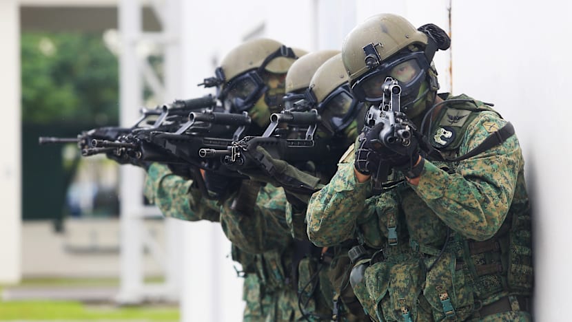 No need for S’pore to raise defence spending to ‘play catch-up’: Ng Eng Hen