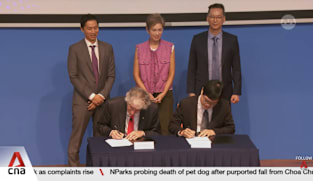 Singapore reviews quantum research strategy to attract firms and develop talent pool