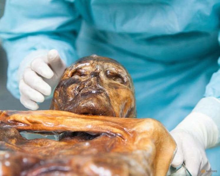 Scientists reveal Ötzi the Iceman's dynamic microbial world