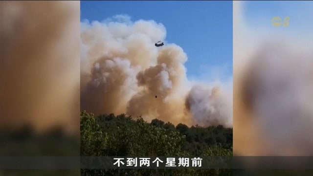 土耳其和叙利亚持续遭遇林火侵袭 大批民众被迫逃离家园