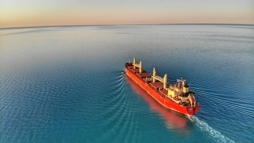 Jail for cook who cracked crewmate’s skull with cleaver on cargo ship off Singapore