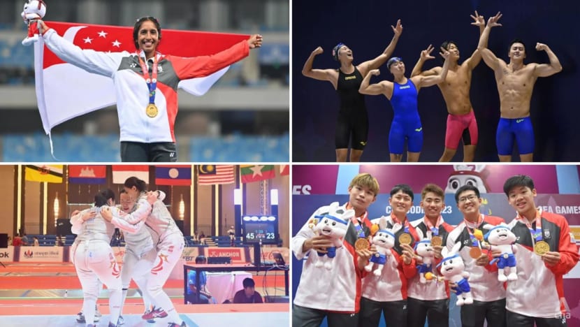 A 'true performer' at SEA Games, Singapore should look to Asian, world stage: Top sports official A 'true performer' at SEA Games, Singapore should look to Asian, world stage: Top sports official