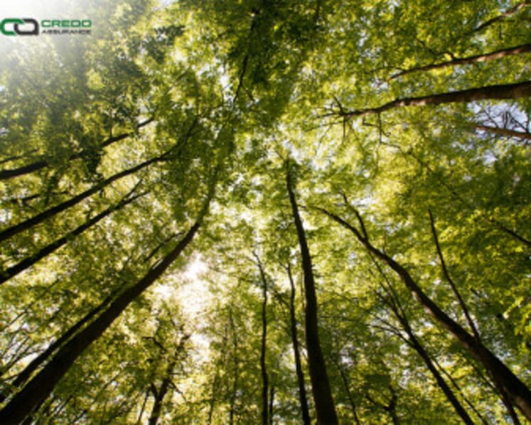 Credo Assurance Earns ESG Certification to Support Sustainability Reporting