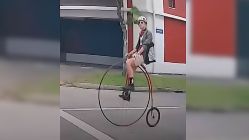 Gambar Pilihan Hari Ini 