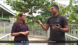குரங்கைப் பார்த்துச் சிரிக்கக்கூடாது ...ஏன் தெரியுமா?