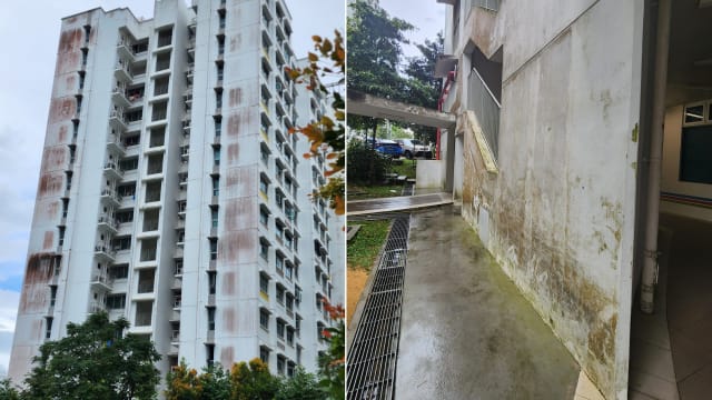 盛港榜鹅组屋外墙发霉 建屋局将进行技术研究