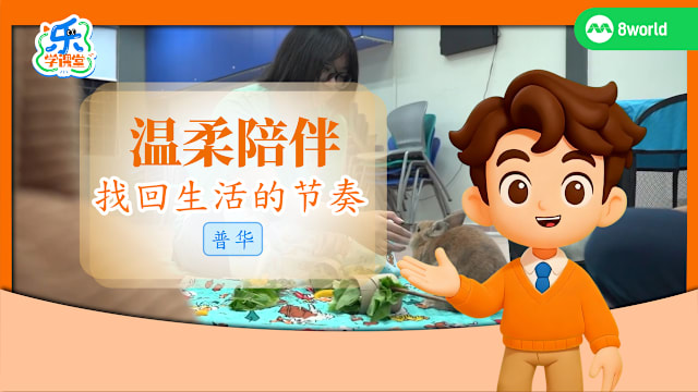 【普华】温柔陪伴　找回生活的节奏