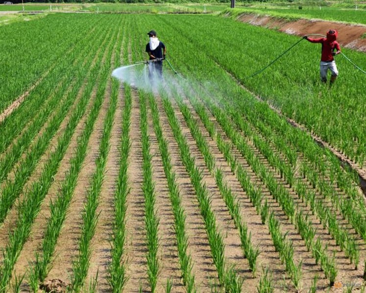 Japan food self-sufficiency ratio falls to 37%, below 2030 goal of 45%