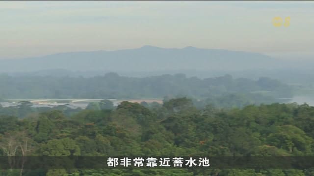 本地六高尔夫球场地契十年内到期