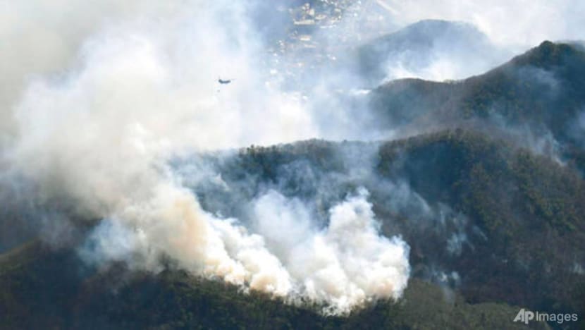 Helicopters, firefighters battle forest fires in Japan