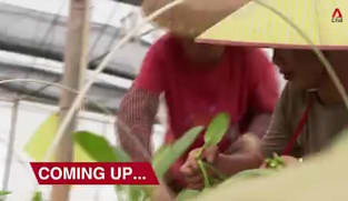 Asia First - Thu 27 Aug 2026
