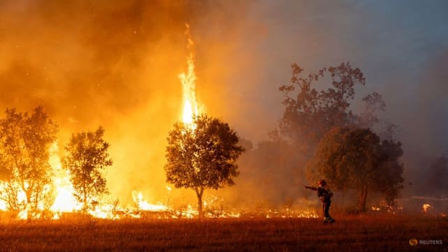 France, Spain assess scorched terrain as new wildfires threaten other regions