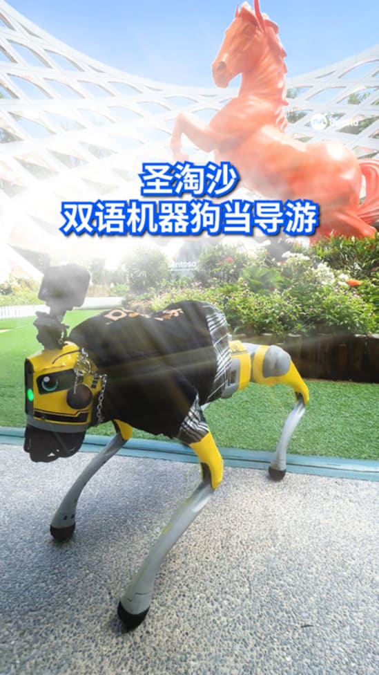 stb robodog