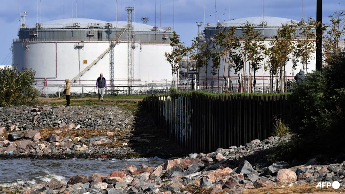 ASEAN states eyeing Russian oil and gas choose short-term relief over geopolitical risks