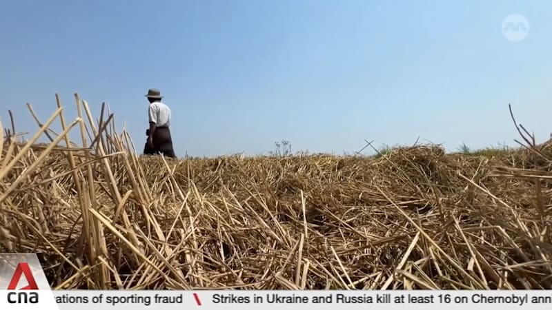 Myanmar's fuel shortage threatens rice harvest efforts, raises food security concerns