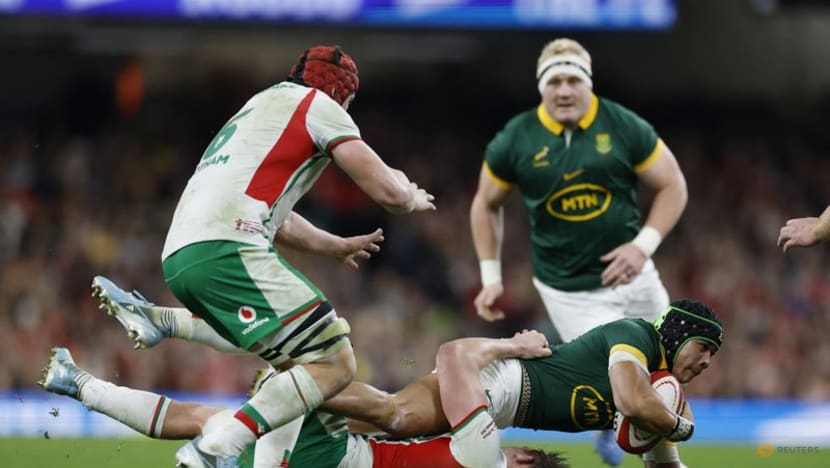 Springboks extend Wales's record losing run with 45-12 victory Springboks extend Wales's record losing run with 45-12 victory