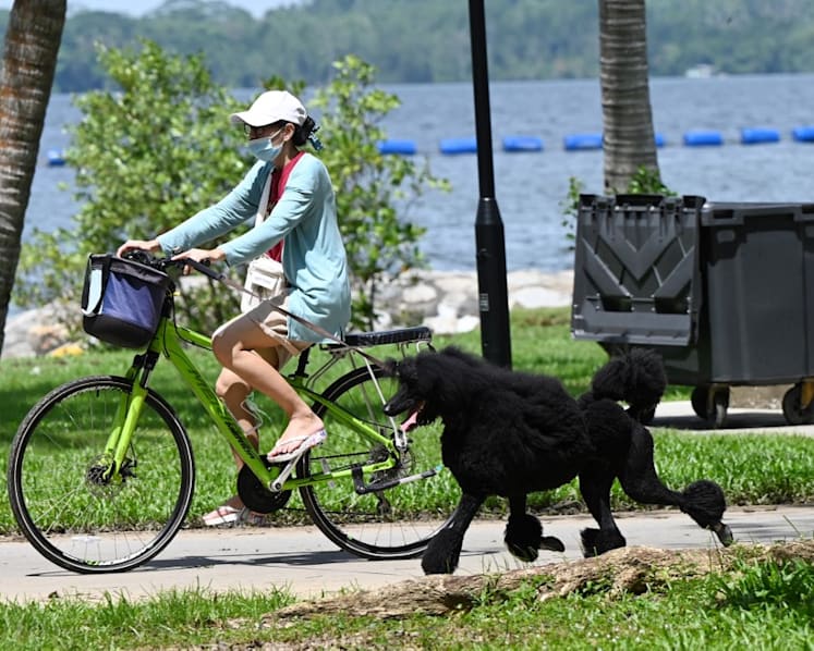 Dry weather expected to continue for the rest of February