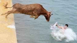 Related article image