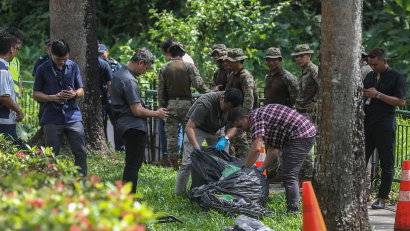 5-hour search in Hillview by police, including Gurkhas, for man allegedly spotted in drain wearing only underwear