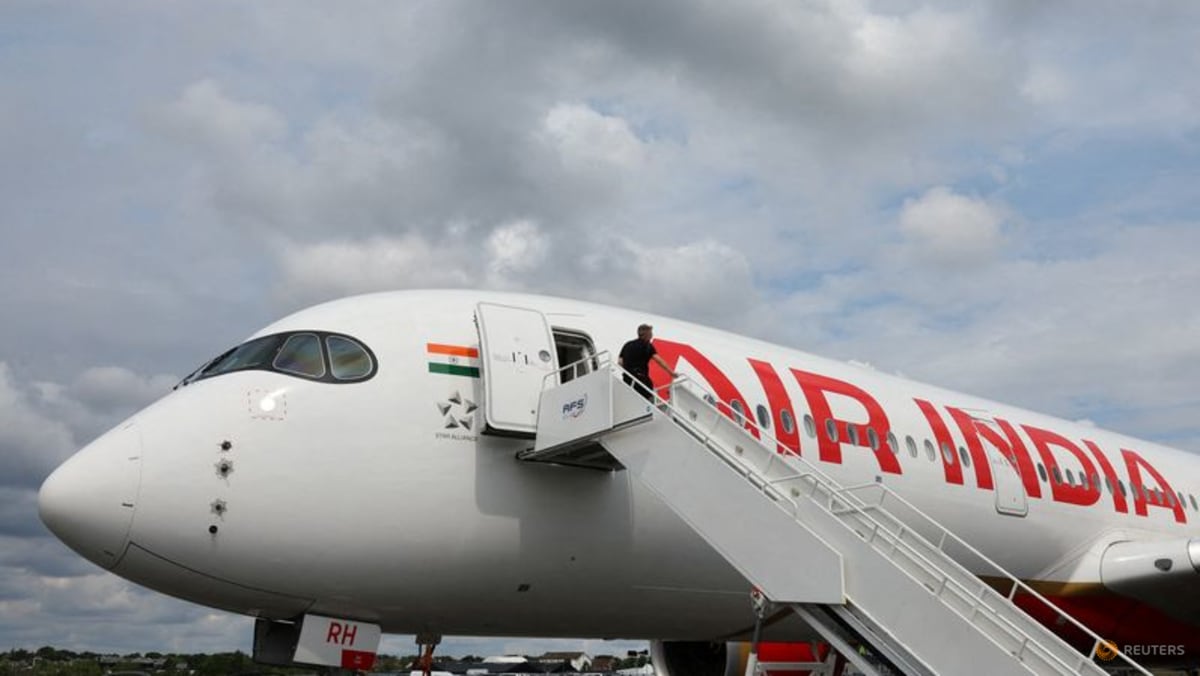 Air India pilot undergoes 'confirmatory' drug test after flight plunge