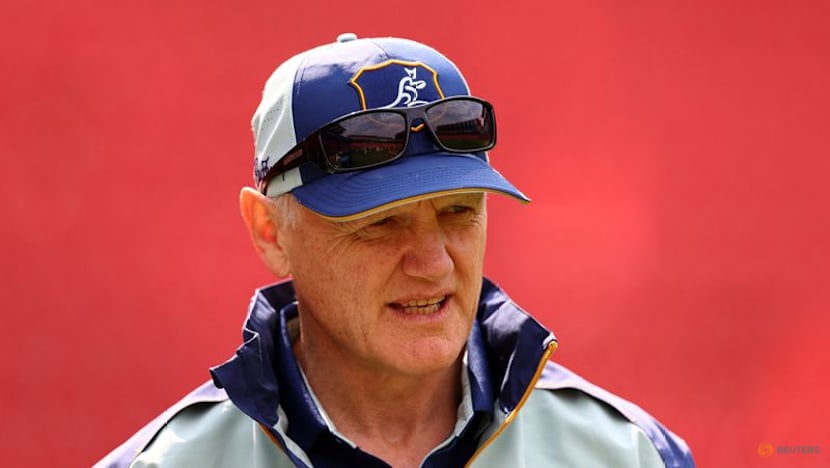 Schmidt spares the whip on 'dead horse' Wallabies before France test