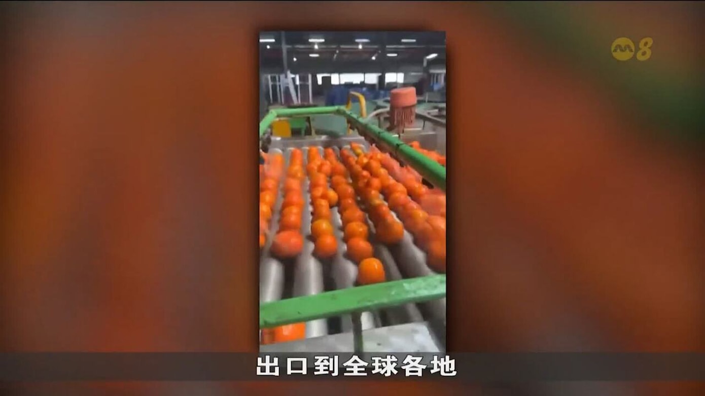 经济增长放缓 中国改变贸易方式力推企业出海