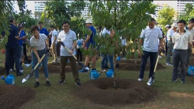 公园局有望提早三年达成100万棵树目标