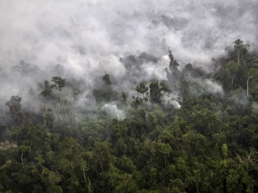 A forest fire is seen from a helicopter operated by the Indonesian National Agency for Disaster Management. A forest fire is seen from a helicopter operated by the Indonesian National Agency for Disaster Management.