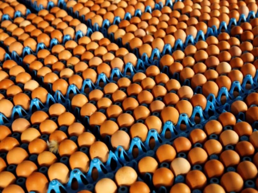 Singapore has 'wide range of alternative sources' for eggs