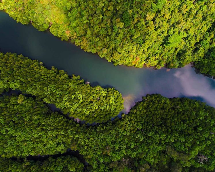 The three disconnects impeding Southeast Asia’s climate goals – and how to eliminate them