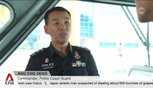 Unmanned surface vessels to patrol Johor Strait in 5 years: Police Coast Guard commander 