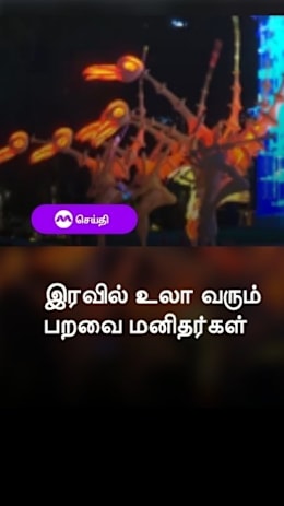 இரவில் உலா வரும் பறவை