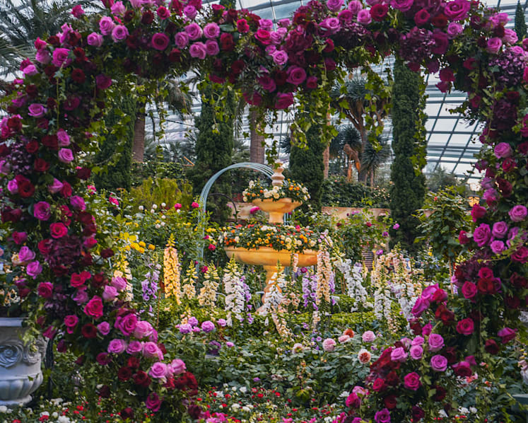 Best things to do in Singapore this weekend (June 9-11)