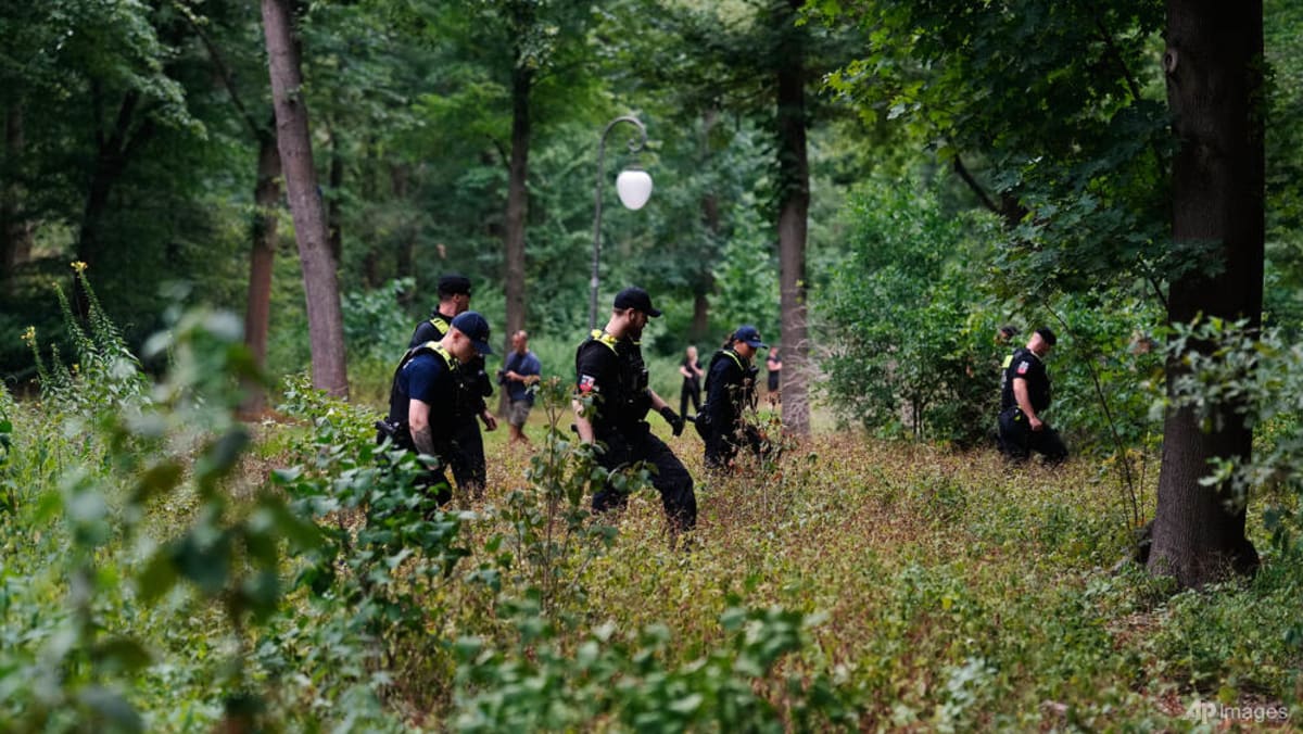 Urgent search for suspect after deadly 'Islamist terror' attack near Berlin Pride