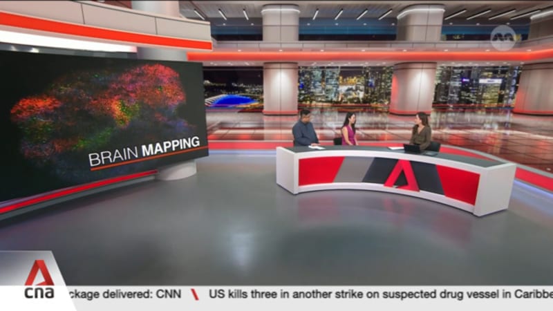 Singapore scientists build detailed map of developing human brain 