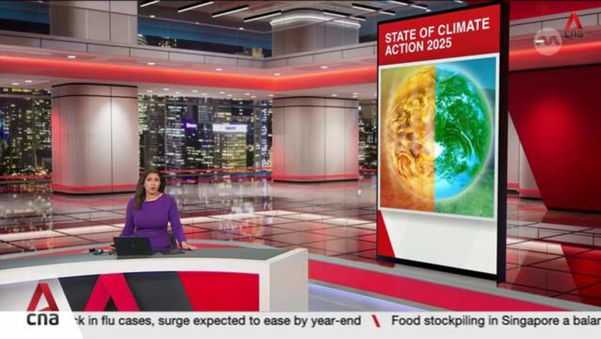 Global coal use reached record high in 2024: Report - CNA