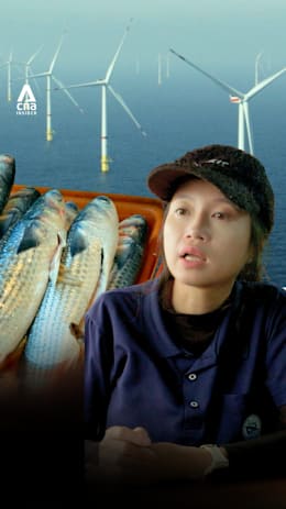 Are wind turbines driving fish away in Taiwan?