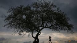 Related article image