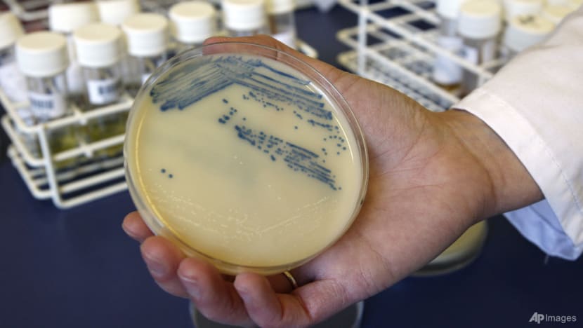 Commentary: We face a world potentially running out of antibiotics