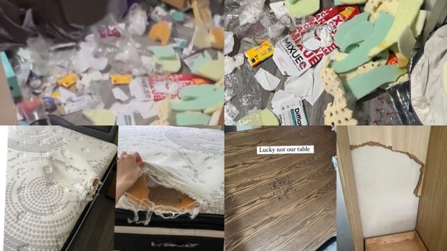疑不满租约不获延长 恐怖租客将房间变垃圾房