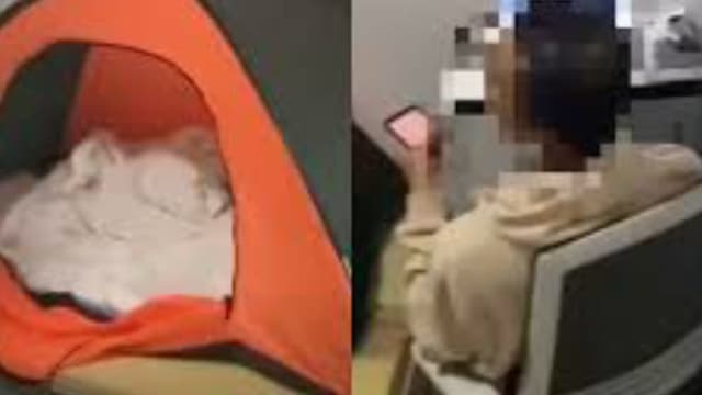 男子“住”商场半年无人知 帐篷笔电俱全 还帮打扫