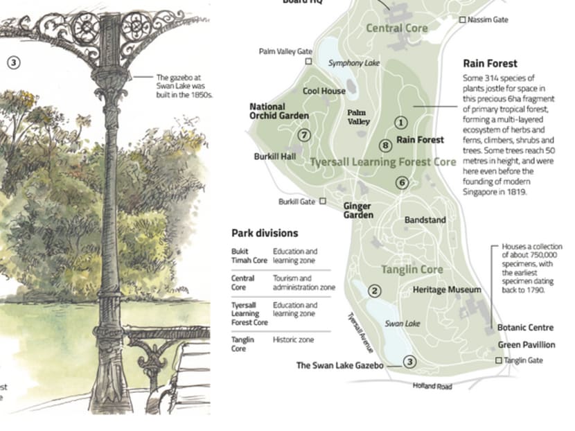 A closer look at Singapore's green marvel