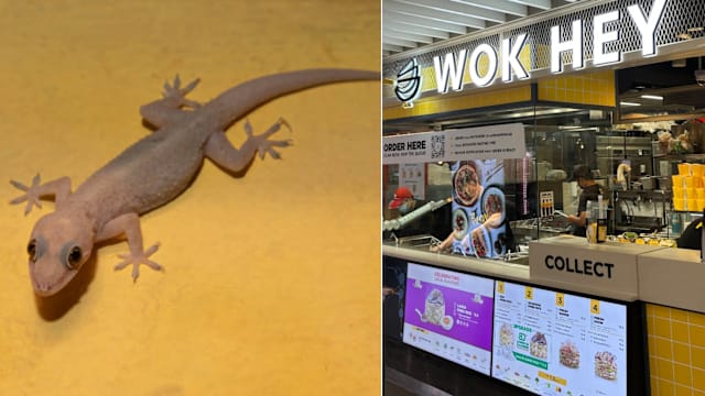 女子买WOK HEY蛋炒饭  吃了三口惊见死壁虎