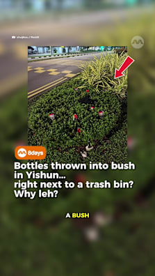 A recent photo of takeaway drink bottles thrown into a bush just metres away from a bin has sparked discussion about littering habits in Singapore. While the country is known for its cleanliness, incidents like this continue to surface online, raising questions about public behaviour. In a separate case, a man in Serangoon was caught on camera throwing items from a high-rise unit and urinating outside, highlighting more serious forms of littering. Under the National Environment Agency, offenders can face fines and Corrective Work Orders, reinforcing Singapore’s strict stance on environmental cleanliness. #8dayssg #8dayssgtrending #sgtiktok #littering #singapore 