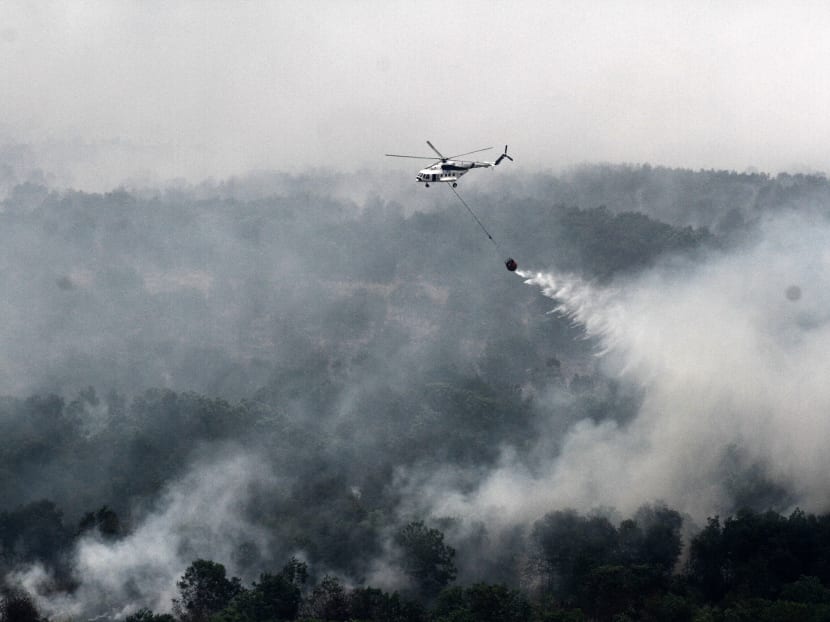 S’pore, M’sia dismiss study’s claim that haze caused over 100,000 premature deaths