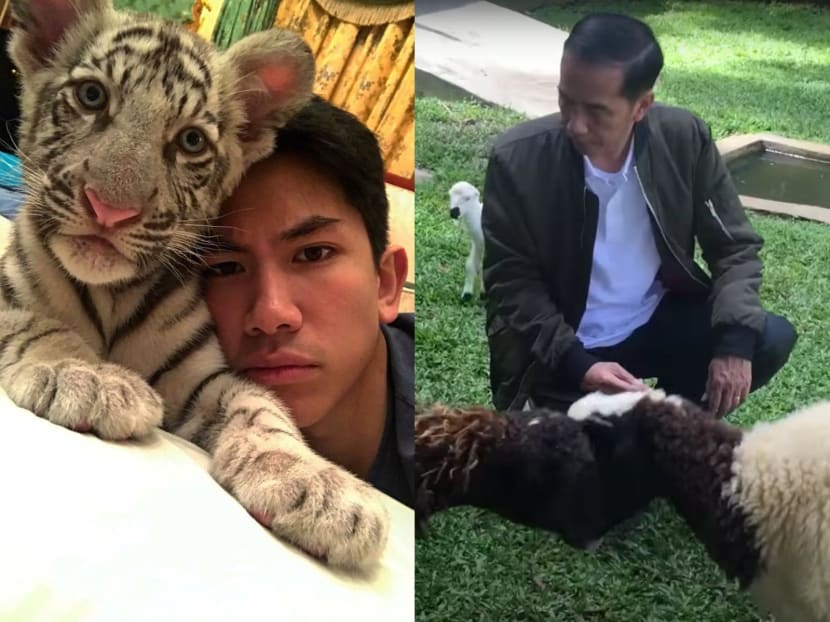 From Tharman’s cats to Jokowi’s goats: The beloved pets of 7 world leaders From Tharman’s cats to Jokowi’s goats: The beloved pets of 7 world leaders