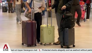 45,700 foreigners denied entry into Singapore as border traffic hits record 245m in 2025