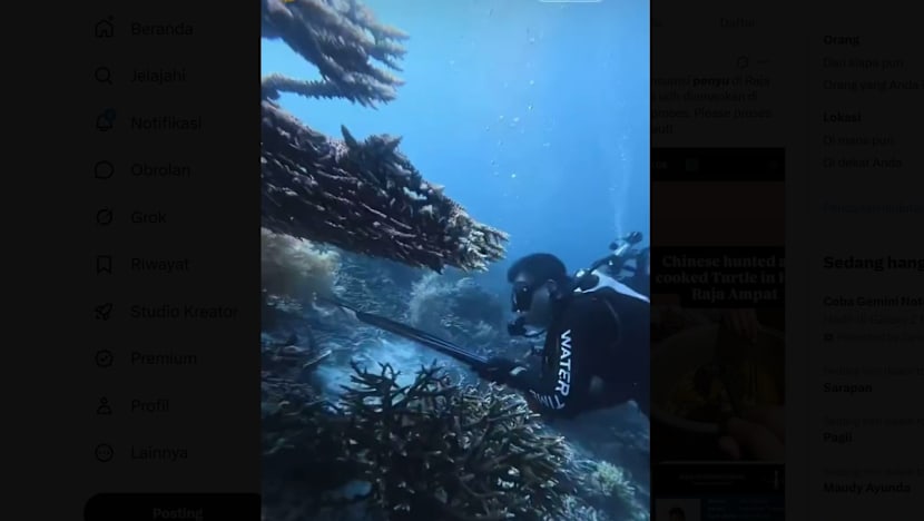 Buru dan santap penyu sisik di Raja Ampat, WN China terancam 15 tahun penjara