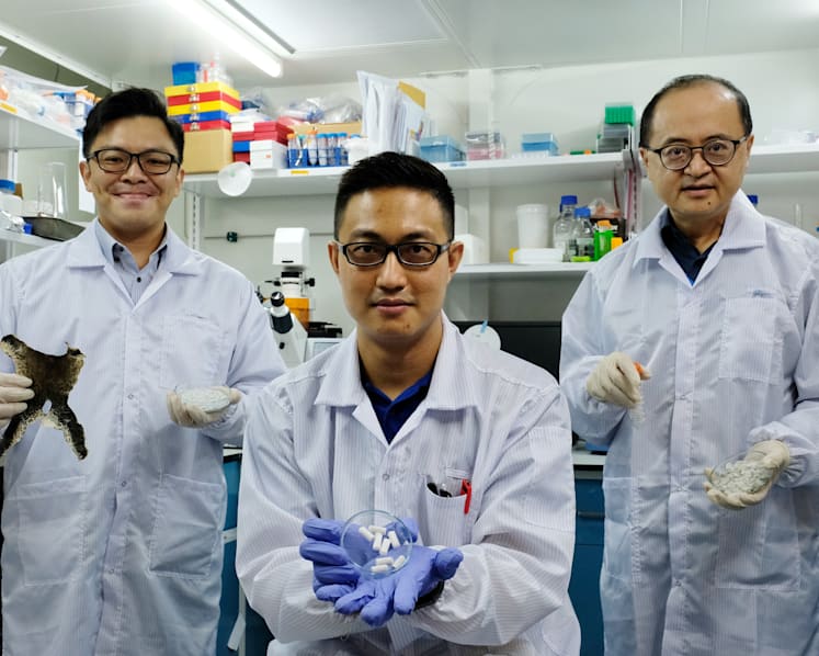 NTU researchers create biomaterial to help repair bones using waste consisting of bullfrog skin, fish scales