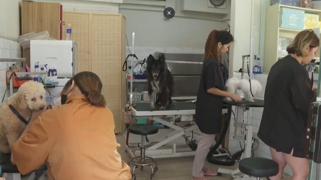 建国60周年邻里购物券全面推出 商家看准商机推出优惠
